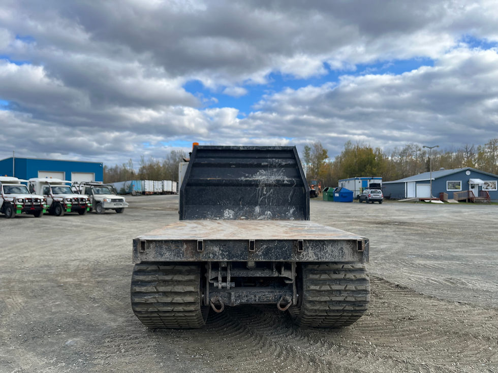 Miniature : Prinoth Panther T8 2023