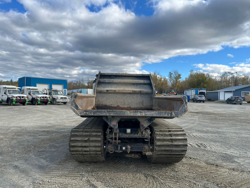 Miniature : Prinoth Panther T8 2021