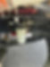 IMG_6127 (1).jpeg