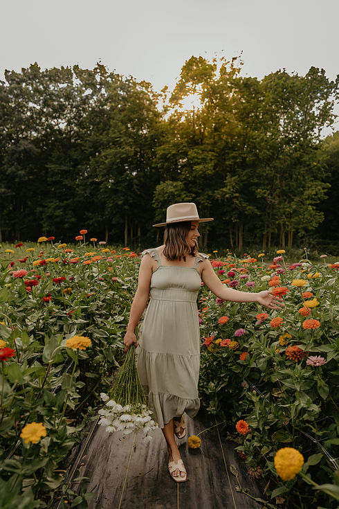 wildflower photography golden hour flower field sunflower 
