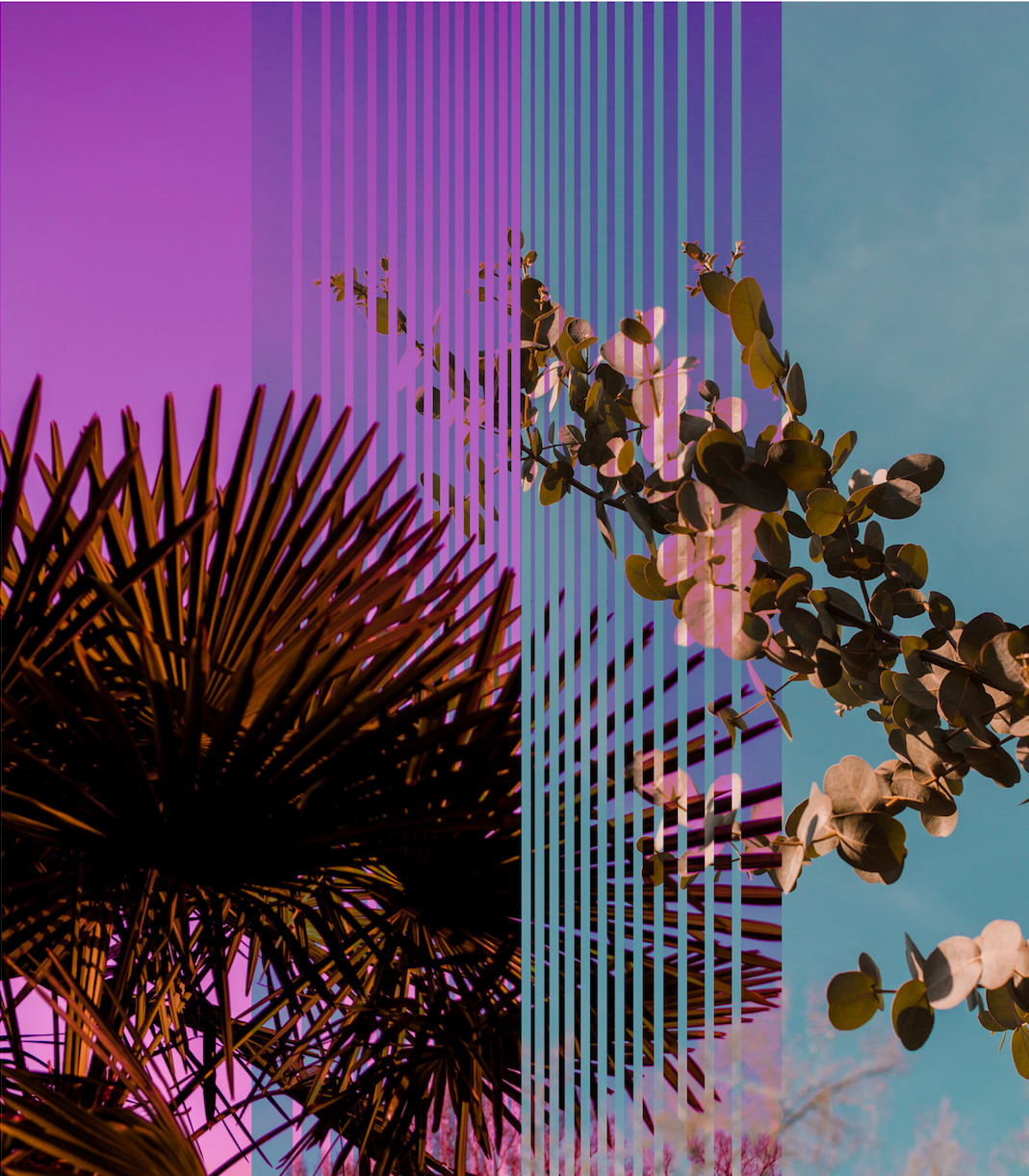 untitled image