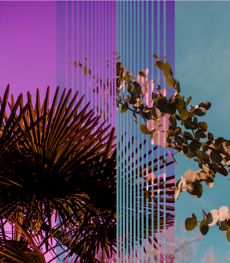 untitled image