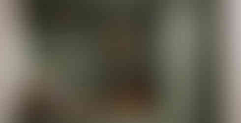 Contemporary Green Shaker Boot Room and Shoe Storage with Brass Handles and Wooden Worktop