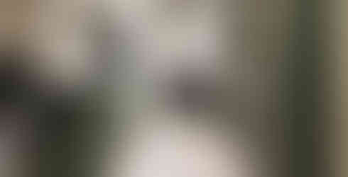 Contemporary Green Handleless Kitchen with Pet Bed Feature