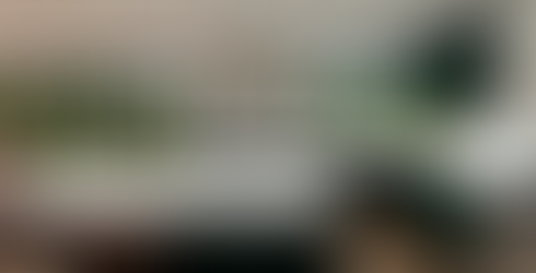 Kitchen Design of a Dark Fir Green Traditional Style Kitchen with Belfast Sink and Shelves