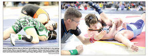 Four LHS wrestlers reach podium at State