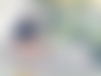 Fourth-grader takes fourth at national pedal pull