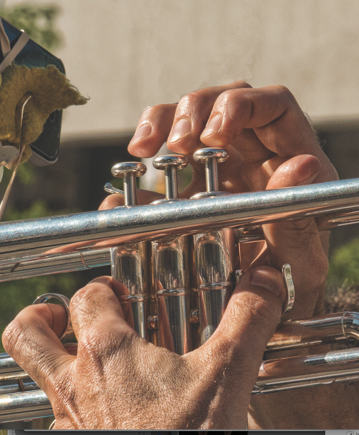 The band plays on Lennox Council reinstates Municipal Band funding