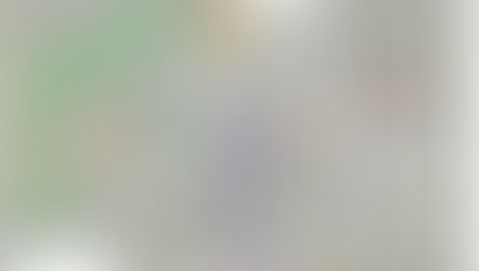 Homeowners speak to Lennox Council regarding special assessments