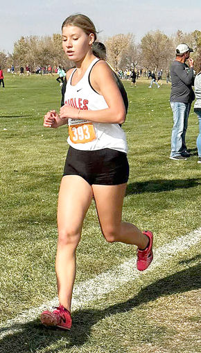 Schmidt, McVey lead Orioles at State Meet held in Huron