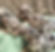 310543146_1475580842939519_2528325227930429662_n
