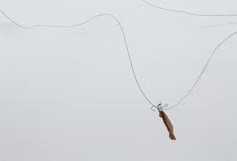 wire and kelp sculpture by artist Barbara Benish