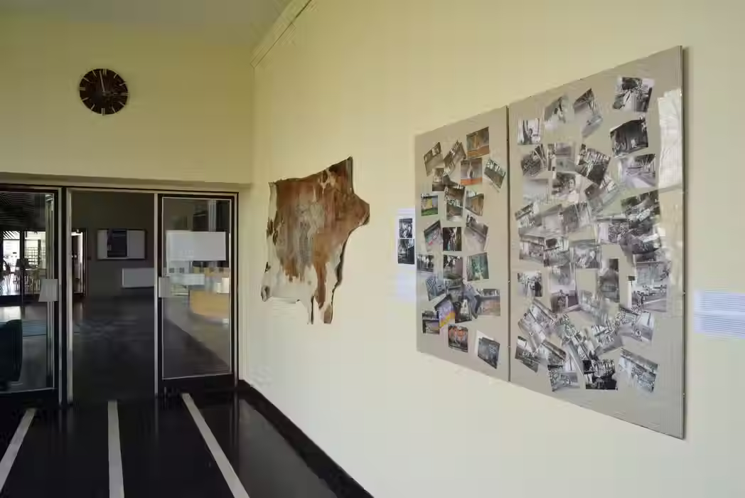 installation by Barbara Benish 'Artist/ Activist' 1982-2015