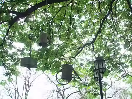 installlation by artist Barbara Benish of upside down hanging watering cans in Belgrade, Serbia