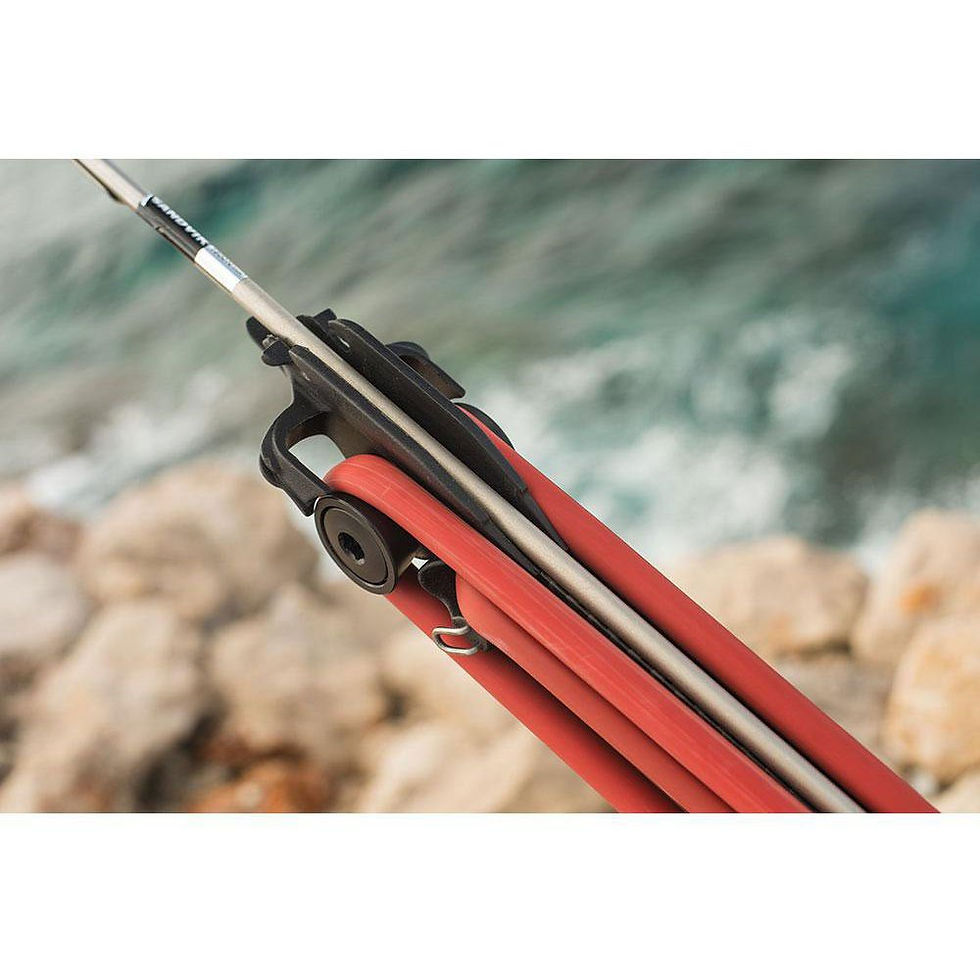 Miniatura: PATHOS ROLLER LASER CARBON