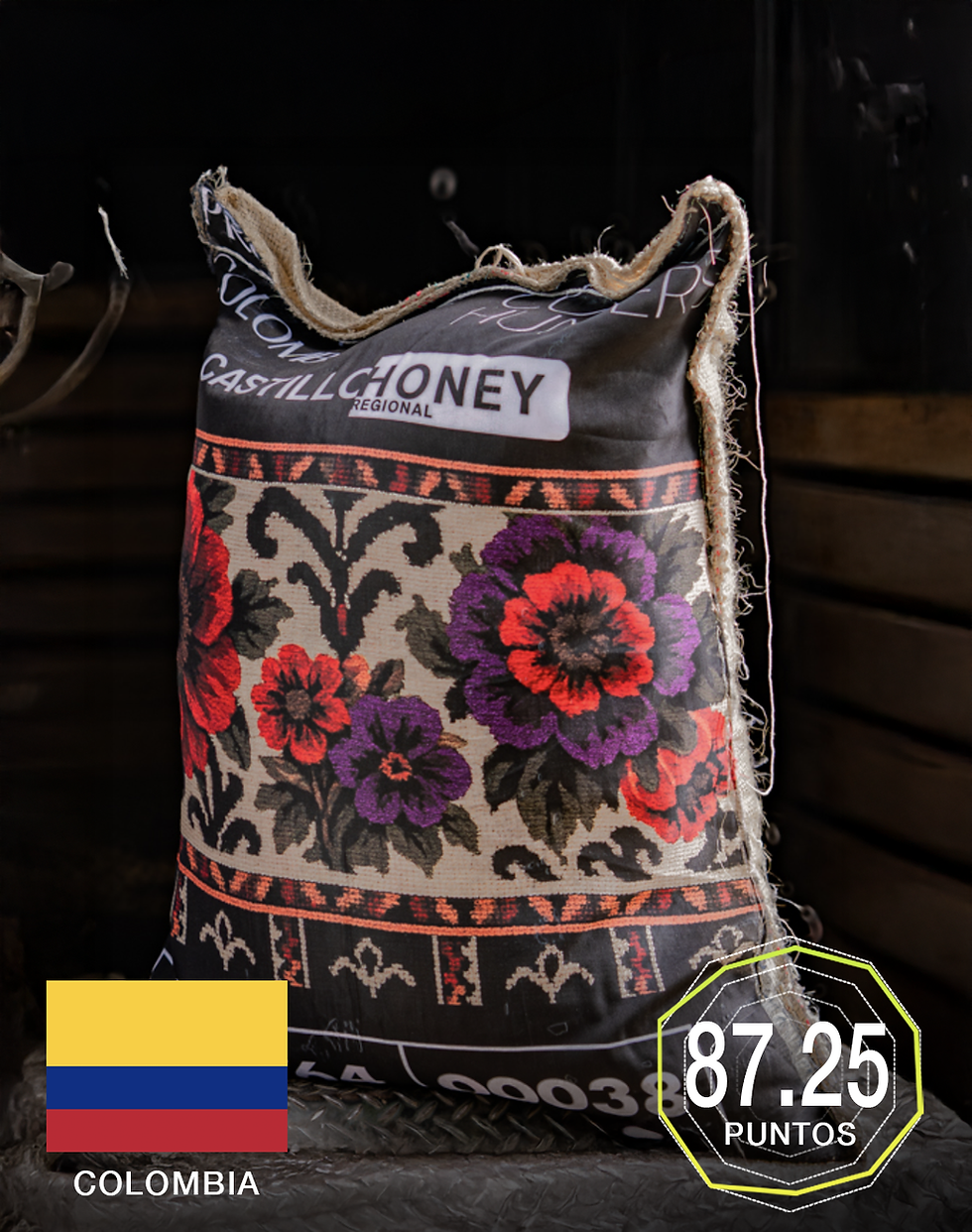 Colombia Castillo Honey 70kg