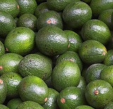 Pile of Avocados