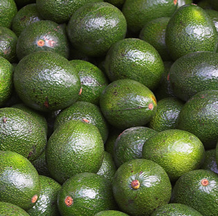 Haufen von Avocados