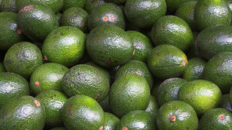 Benefits of avocados
