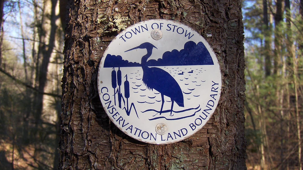 Flagg Hill conservation land in Stow, Massachusetts