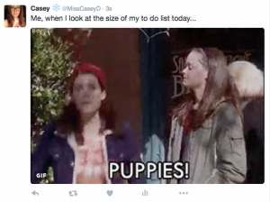 how to make a gif