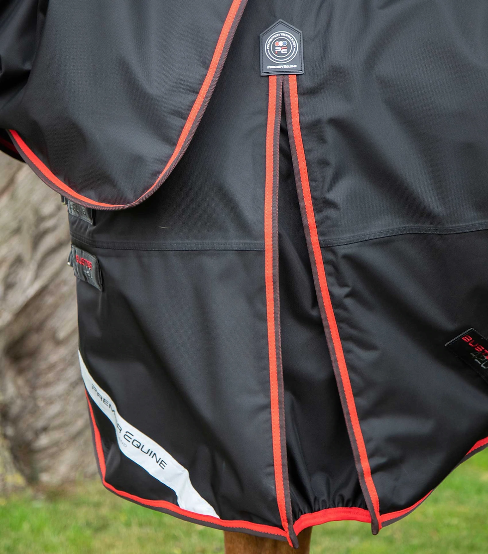 Thumbnail: PE Buster 420g Turnout Rug with Classic Neck Cover