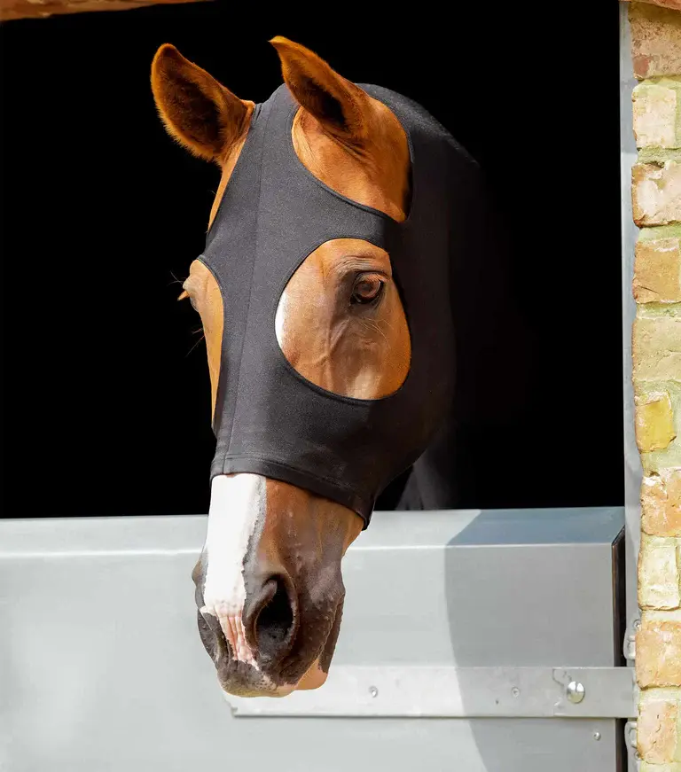 Thumbnail: PE Stretch Lycra Hood