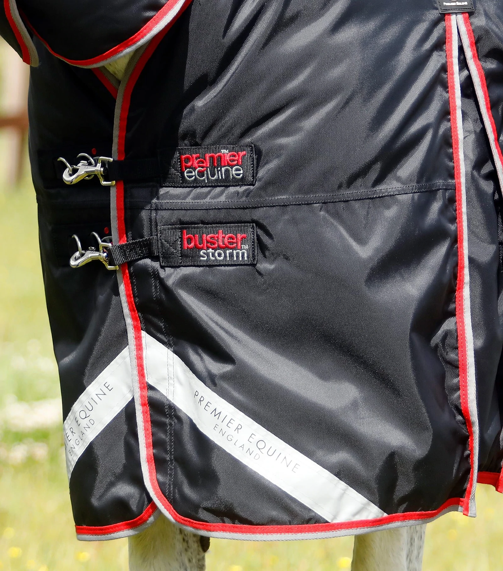 Thumbnail: PE Buster Storm 400g Combo Turnout Rug with Snug-Fit Neck