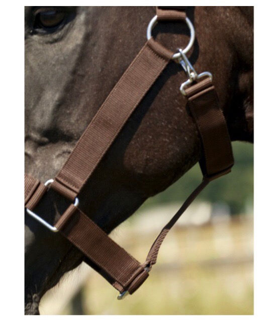 Thumbnail: NORTON DRAUGHT HORSE HEADCOLLAR