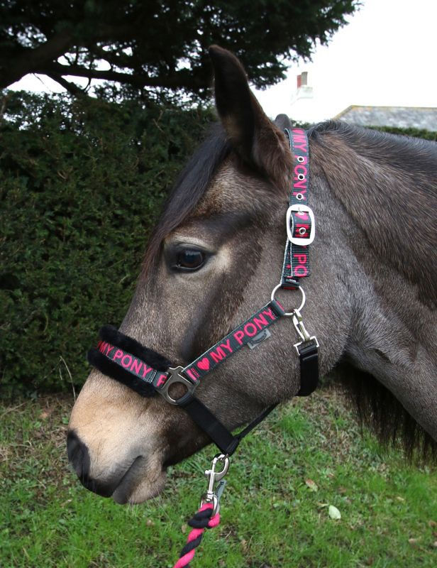 Thumbnail:  Rhinegold Love My Pony Headcollar & Rope Set