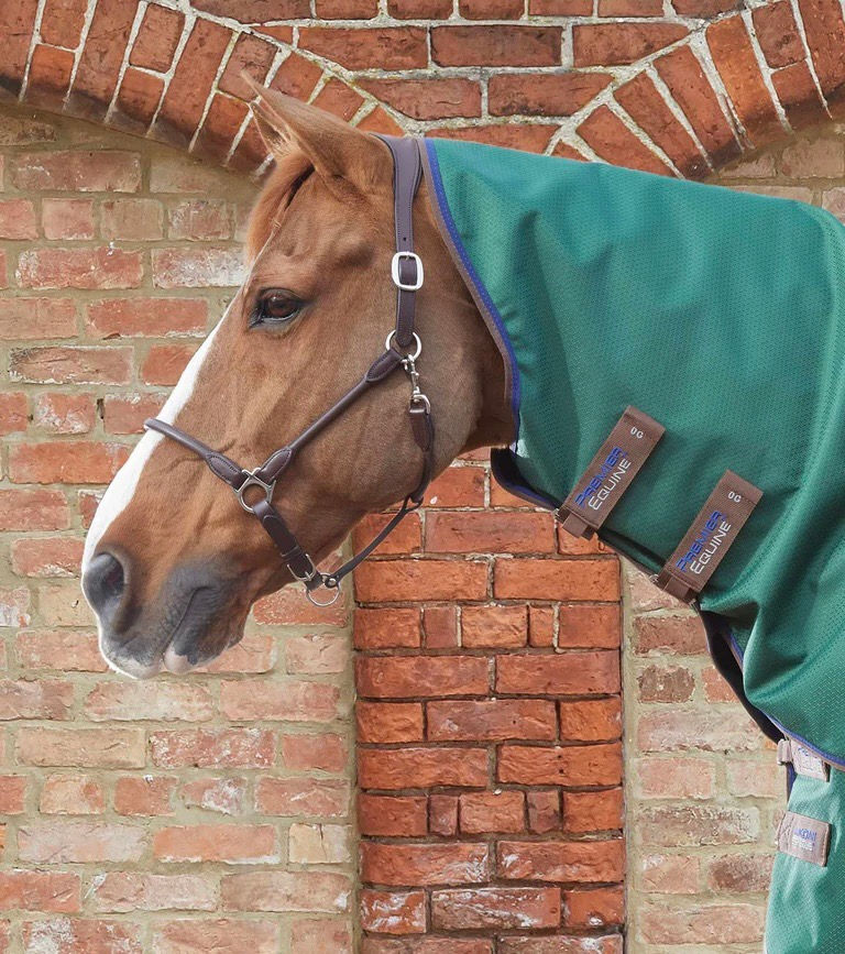 Thumbnail: PE Akoni 0g Turnout Rug with Classic Neck Cover