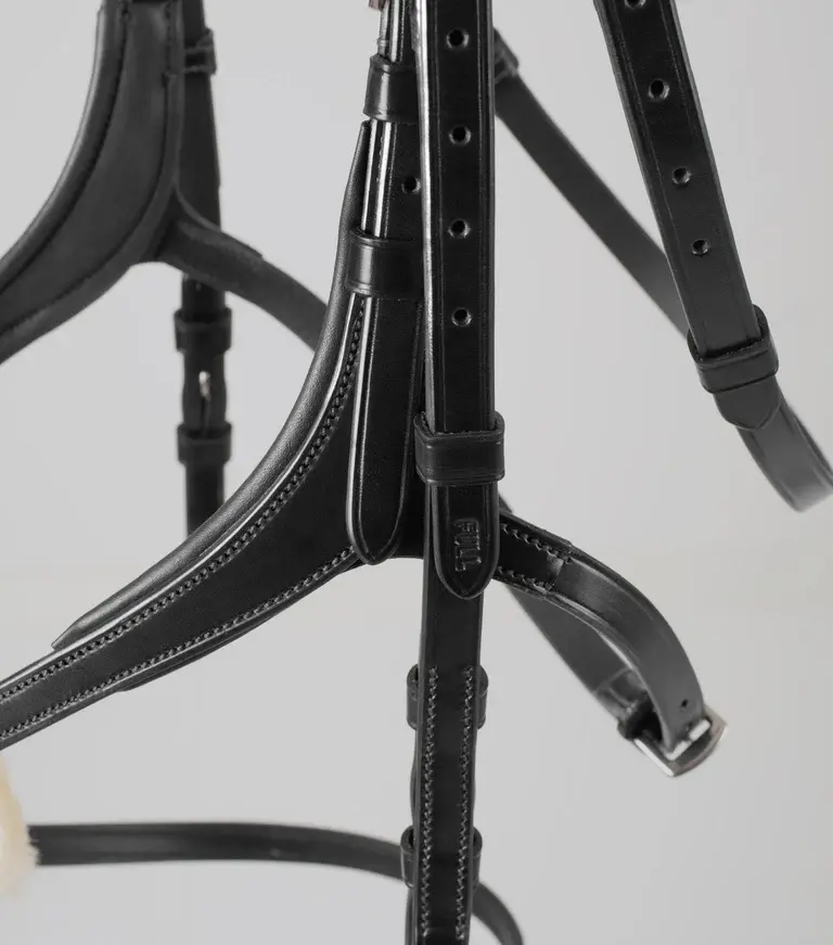 Thumbnail: PE Glorioso Grackle Bridle