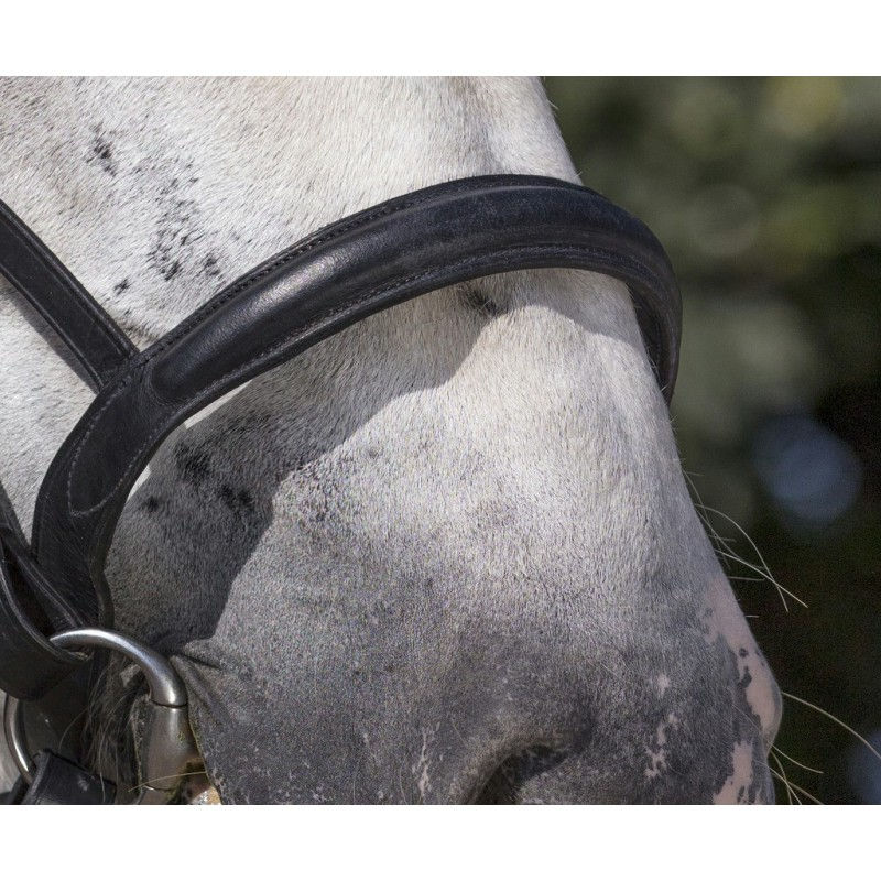 Thumbnail: NORTON CLUB BRIDLE, DRAUGHT HORSE