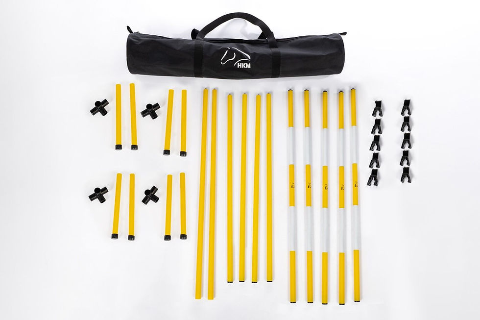 Thumbnail: HKM Hobby Horse Jumping Set