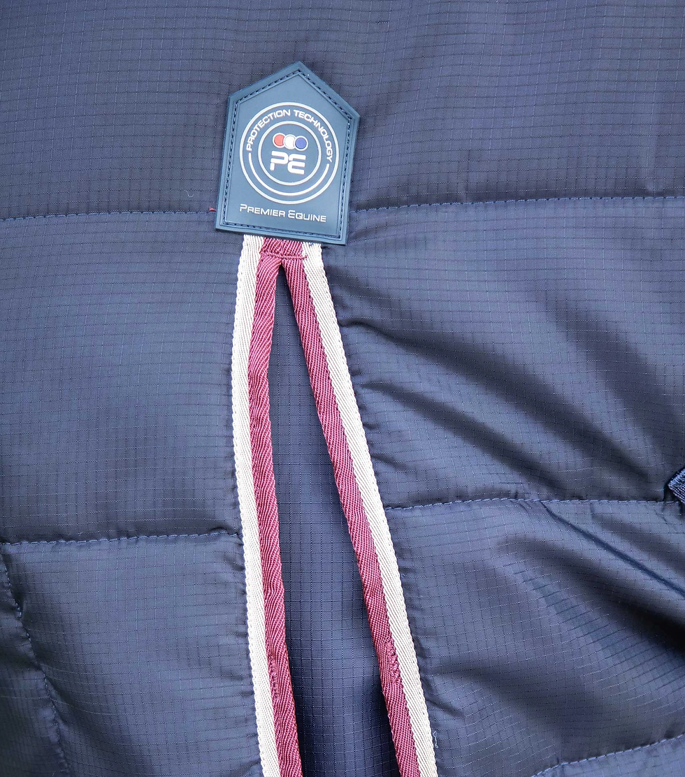 Thumbnail: PE Garissa Stable Rug 100g