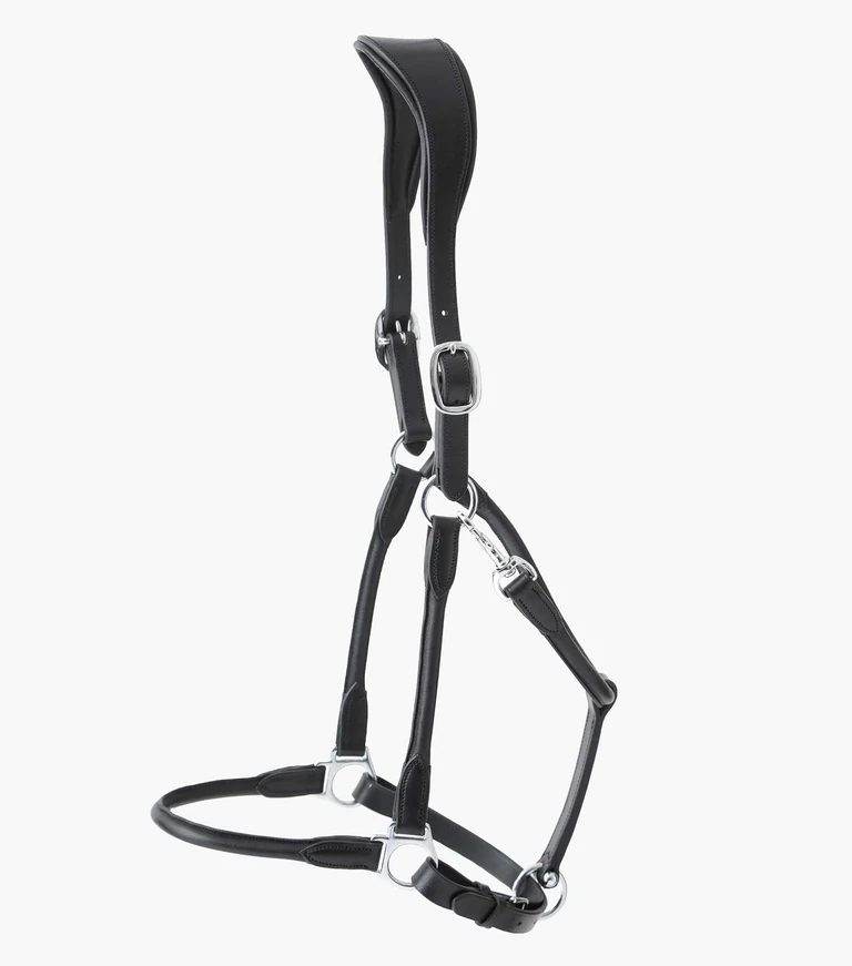 Thumbnail: PE Hennaroso Rolled Anatomic Leather Head Collar