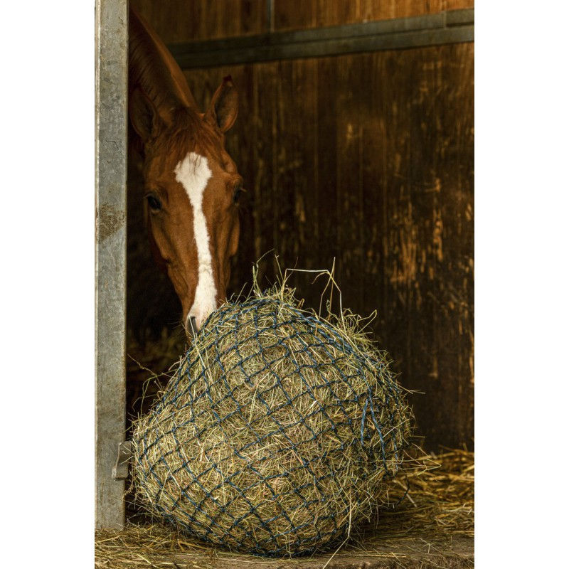 Thumbnail: Blue Haynet