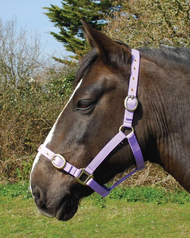 Thumbnail: Rhinegold Nylon Headcollar