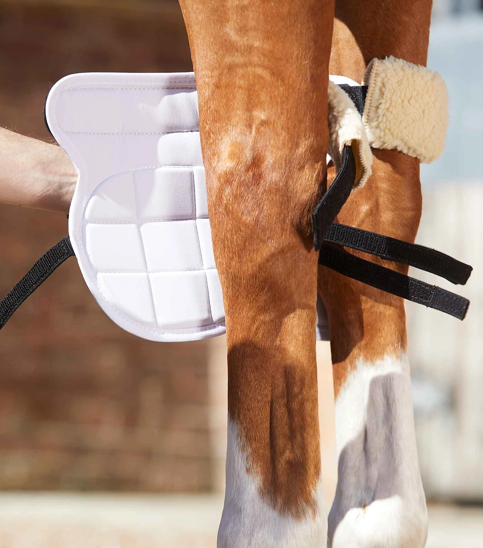 Thumbnail: PE Magni-Teque Magnetic Horse Knee Boots