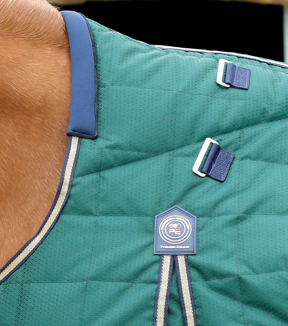 Thumbnail: PE Lucanta 200g Stable Rug with Neck Cover