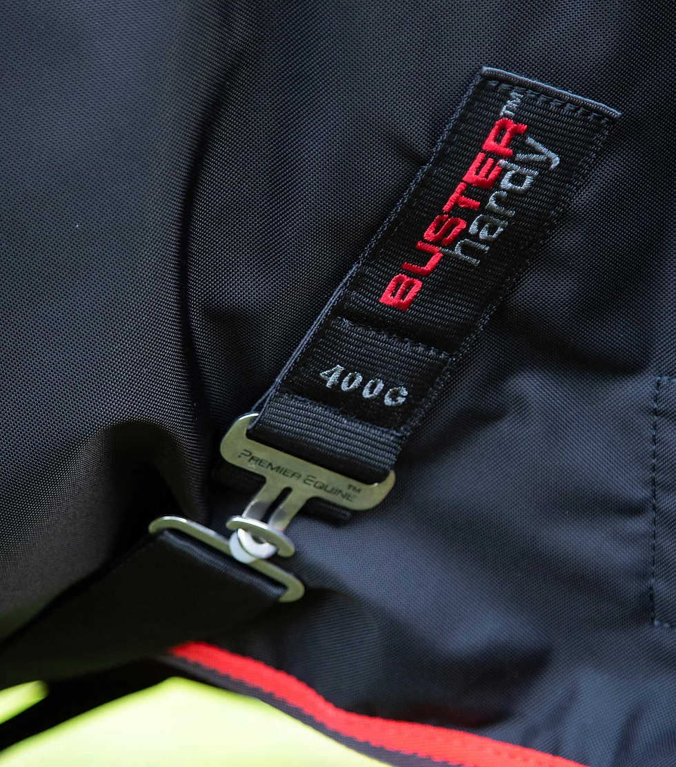 Thumbnail: PE  Buster Hardy 400g Half Neck Turnout Rug
