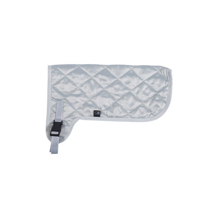 Thumbnail: Hobby Horse Accessories
