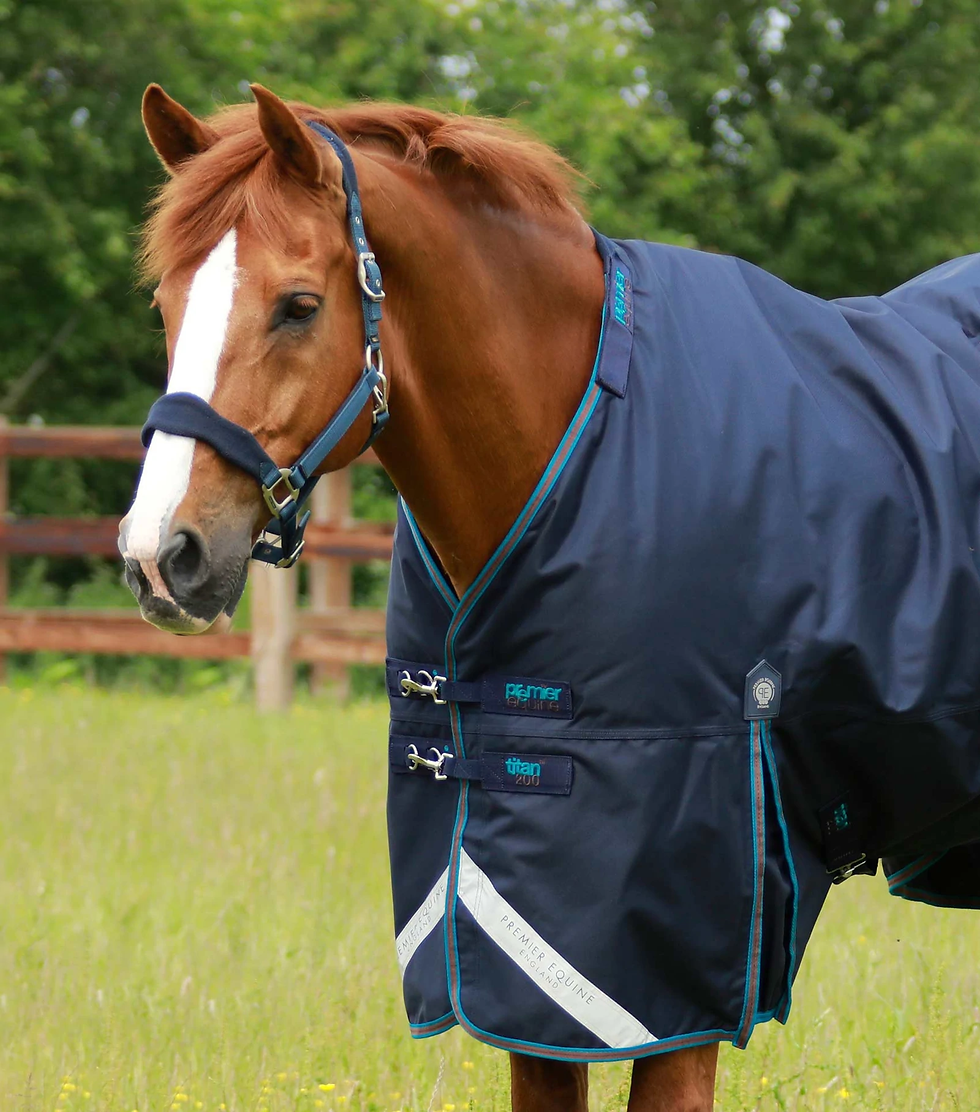 Thumbnail: Buy Premier Equine in Ireland