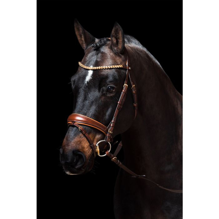 Thumbnail: HKM -Marrakesh- Bridle
