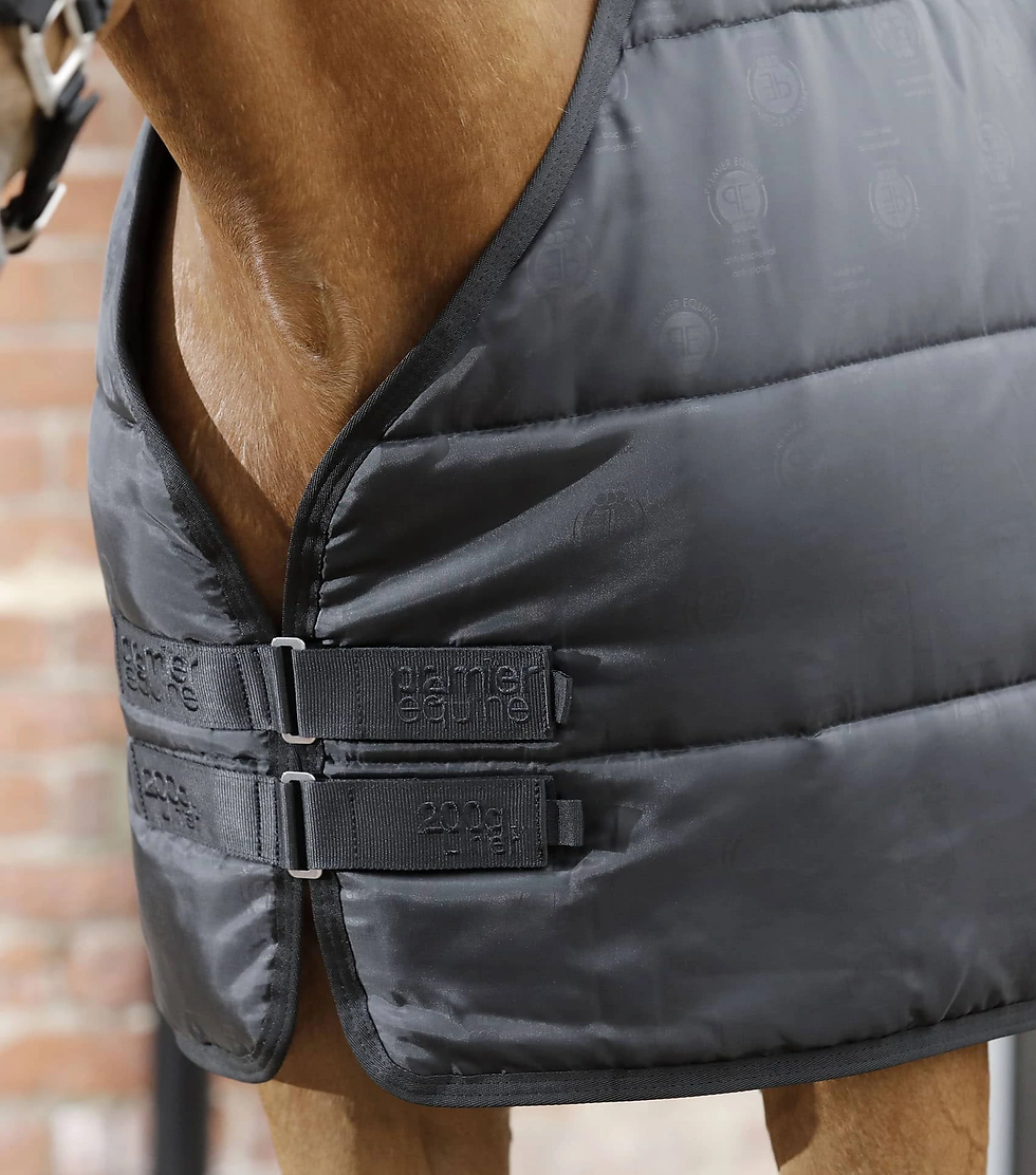 Thumbnail: PE 50g Horse Rug Liner