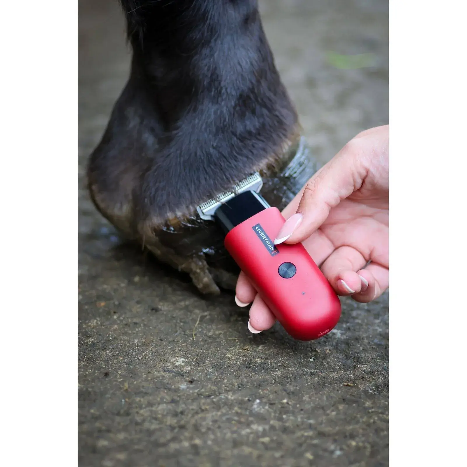 Liveryman Robin Trimmers