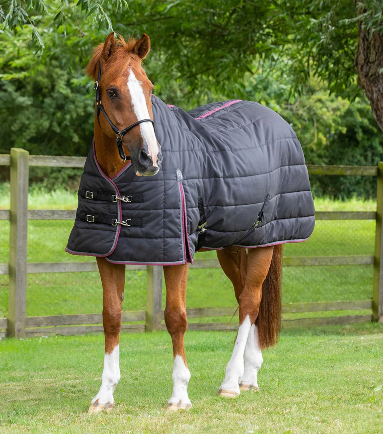 Thumbnail: PE Garissa Stable Rug 200g