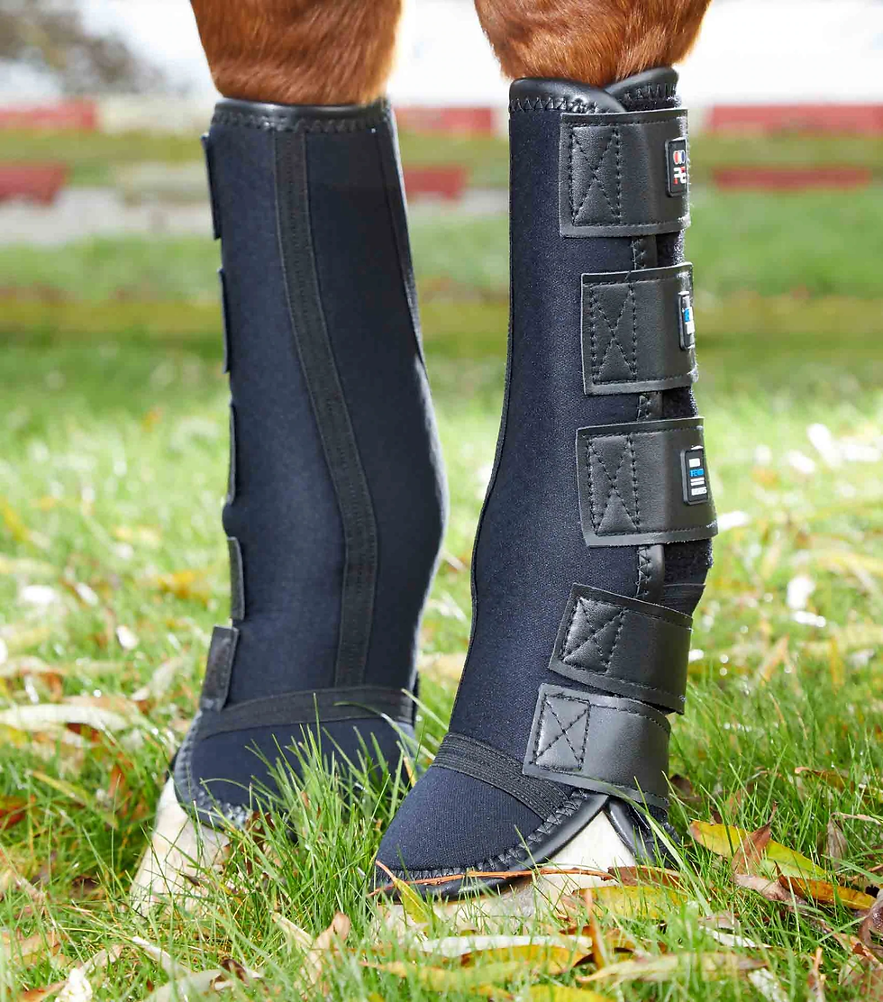 Thumbnail: PE Turnout/ Mud Fever Boots