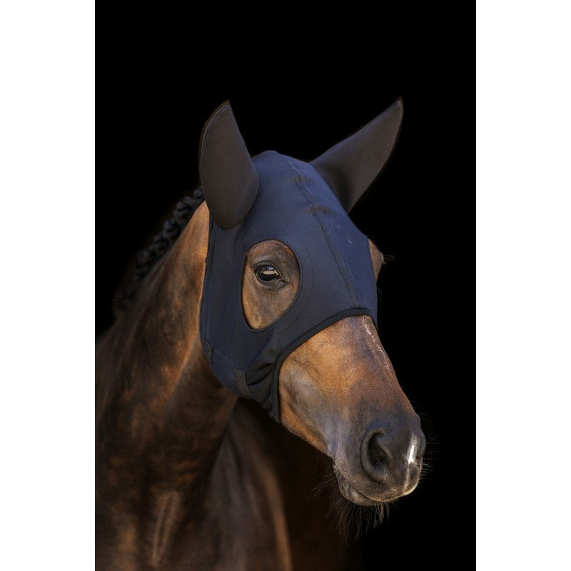 Thumbnail: TITANIUM MASK WITH EARS FULL SIZE