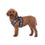 Thumbnail: HKM Dog Harness -Buddy Soft-